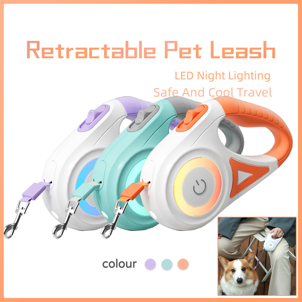 All-in-One Retractable Dog Leash and Collar Set
