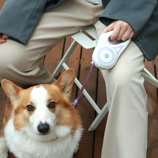 All-in-One Retractable Dog Leash and Collar Set