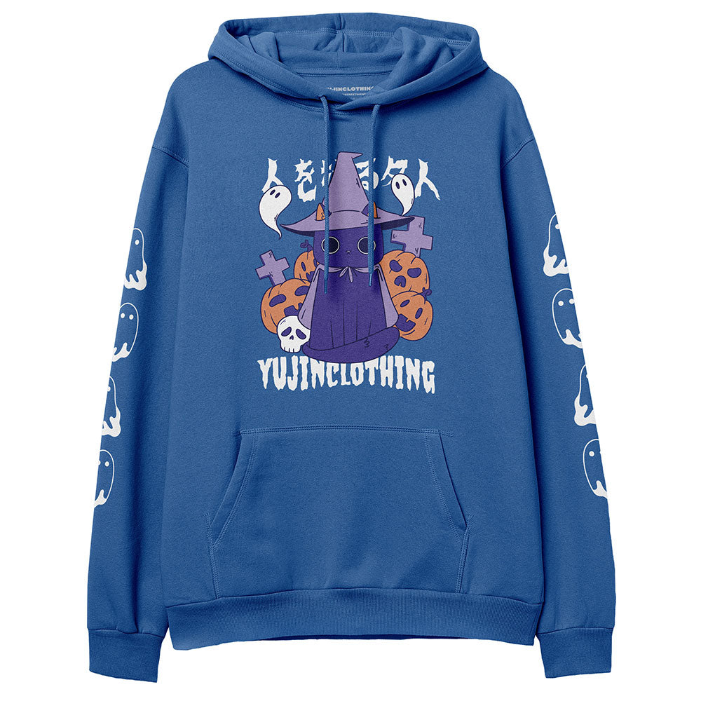 Master Manipulator Cat Hoodie